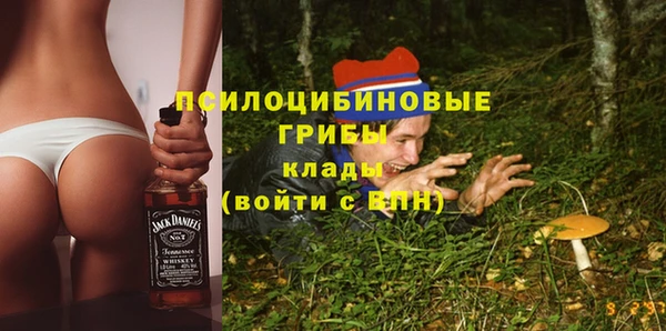 первитин Абинск