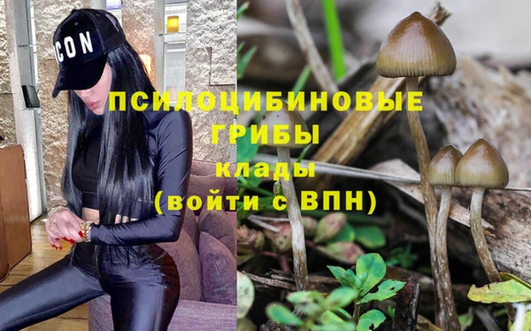 гашиш Алзамай