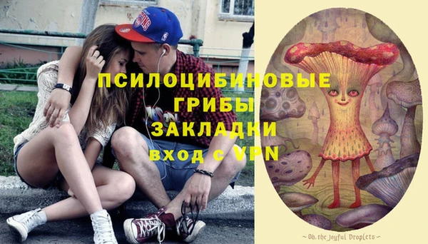 первитин Абинск