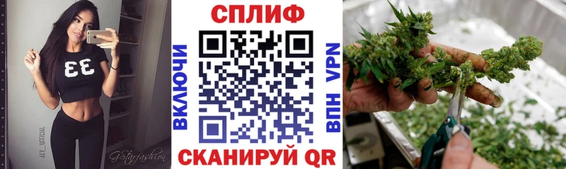 где купить наркоту  Протвино  Бошки Шишки гибрид 